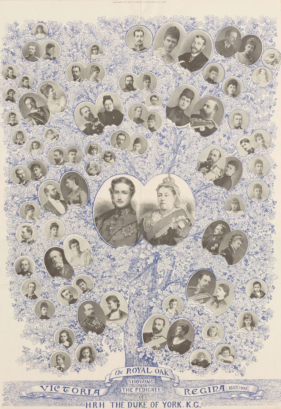 Victoria Regina 1837-1893. The Royal Oak: The Duke of York's pedigree 1893